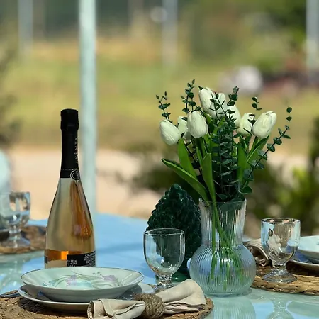 Nura's - Casa Vittoria 86 * Santa Maria la Palma